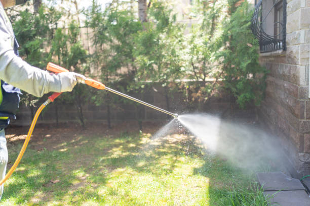 Outdoor Pest Control in Edinburg, VA